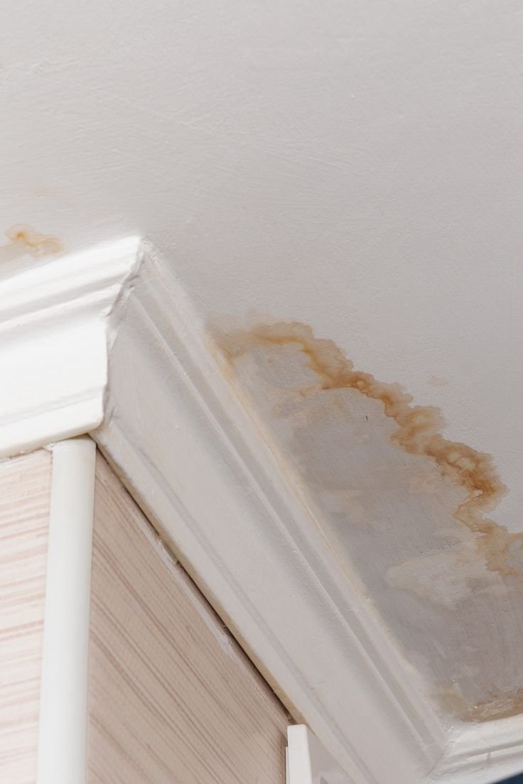 Protect Your Home From Preventable Water Damage