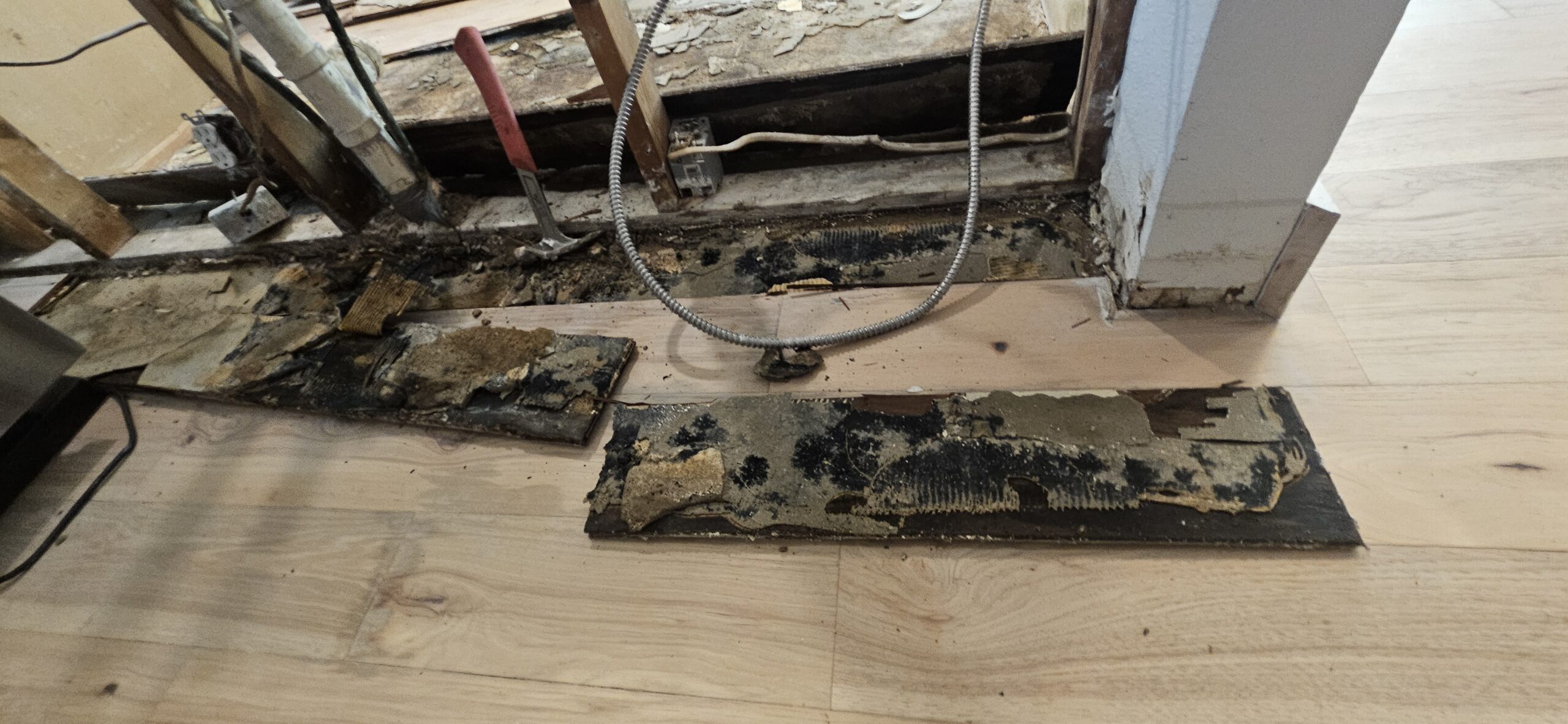 Mold remediation technician in protective equipment treating an Austin property