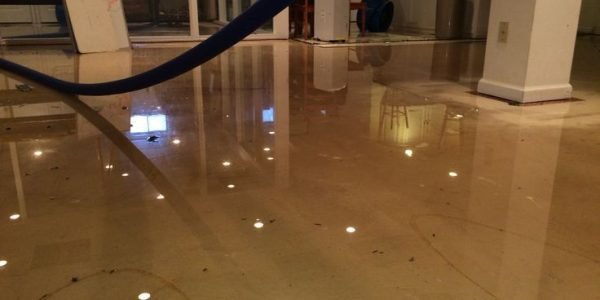 1000+ ideas about Water Damage Remediation on Pinterest