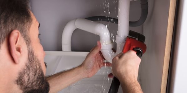 shutterstock_757886611